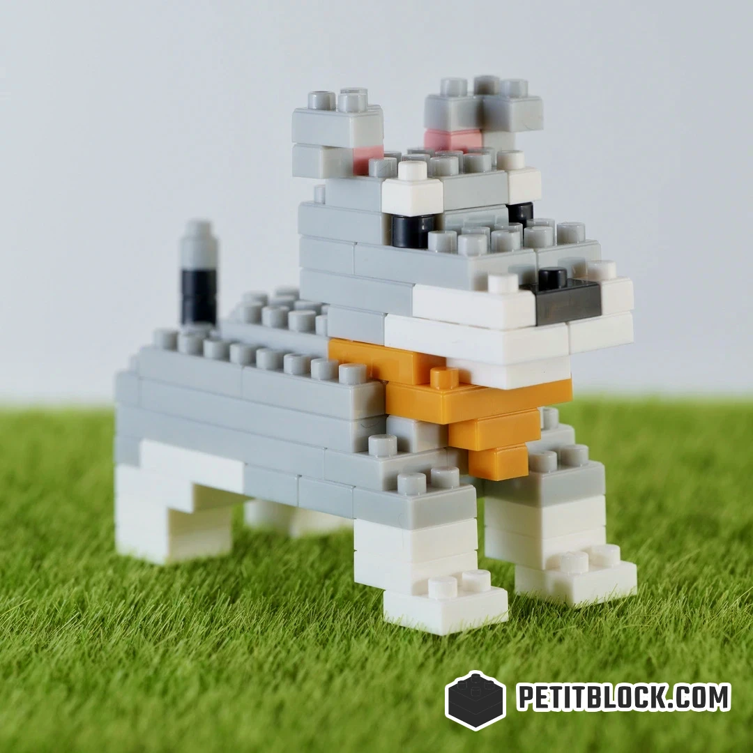 Mini Schnauzer ミニチュアシュナウザー