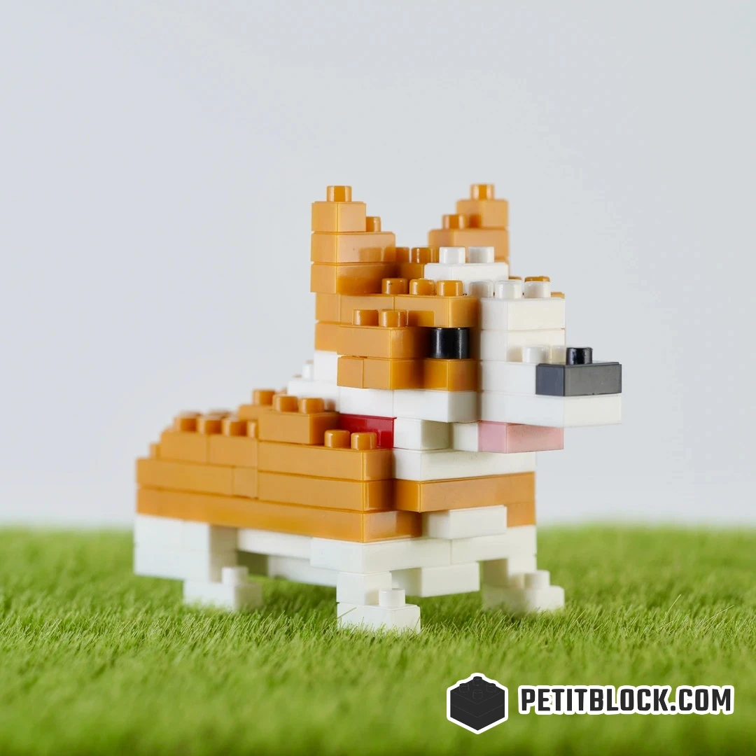 Corgi コーギー